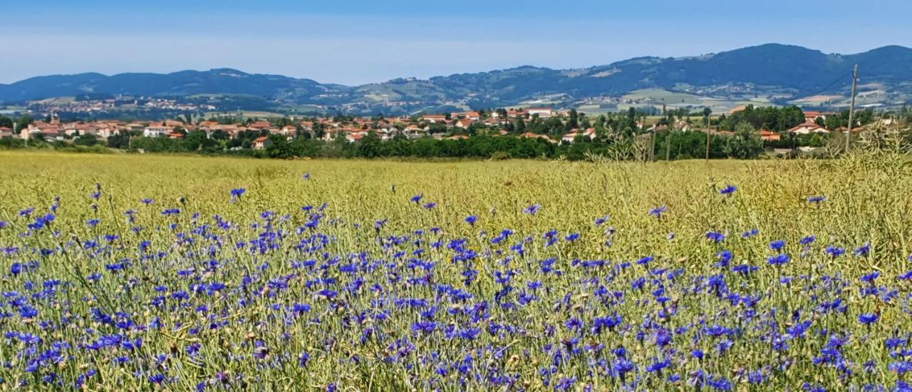Saint-Andeol-le-Chateau Gite Les Arches מראה חיצוני תמונה